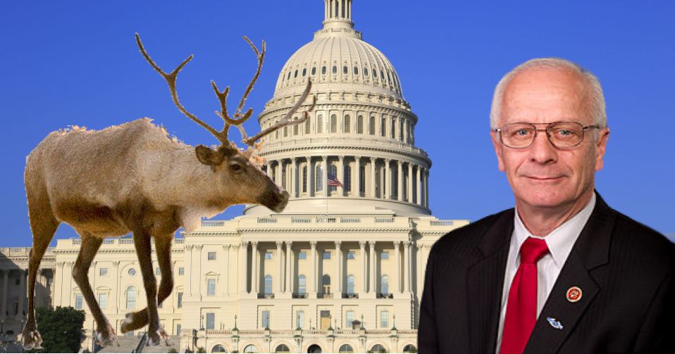 The Reindeer Congressman Kerry Bentivolio